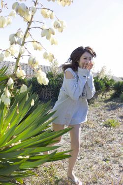 莫言小说全集下载